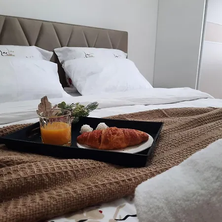 Stepe Stepanovica Apartman *